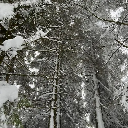 Locanda Bocchetto Sessera Hotel Bielmonte